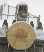 minus 22 degrees nutty weather A cold treat