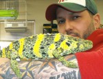 pet store 1 rick Rick Wilson of The Pet Store in Oswego holds a chameleon.