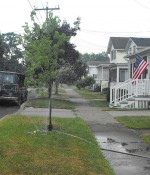 watering a tree An eastside resident uses a sprinkler to water a brown patch of lawn as well as a nearby young tree in Monday's record-breaking heat.