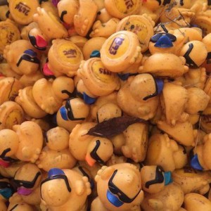 (Photo courtesy of Fulton Duck Derby 2015 Facebook page) Over 1,000 ducks are dumped into the river at Canalview Park each year to raise funds for the Fulton Lions Club. Each duck has a corresponding ticket to award cash prizes to top finishers.