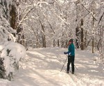 canopy of snow