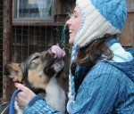 SUNY Oswego senior psychology major Kristyn Bermingham works with furry friends such as Hana, an Akita mix, at the city's Oswego Animal Shelter as part of the service learning requirement for David Sargent’s course, "Advanced Animal Training Principles." The college continues to add courses with service learning components as part of its commitment to community engagement.