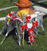 A makeshift memorial of flowers has been created near the accident scene.