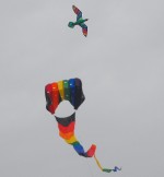 kites in the air