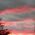 Anne Marie Hall Colvin of Tennessee shared this photo from Sunday night