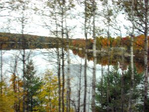 A view of fall foliage from the Adirondack Railway.