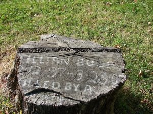 Memorial stump