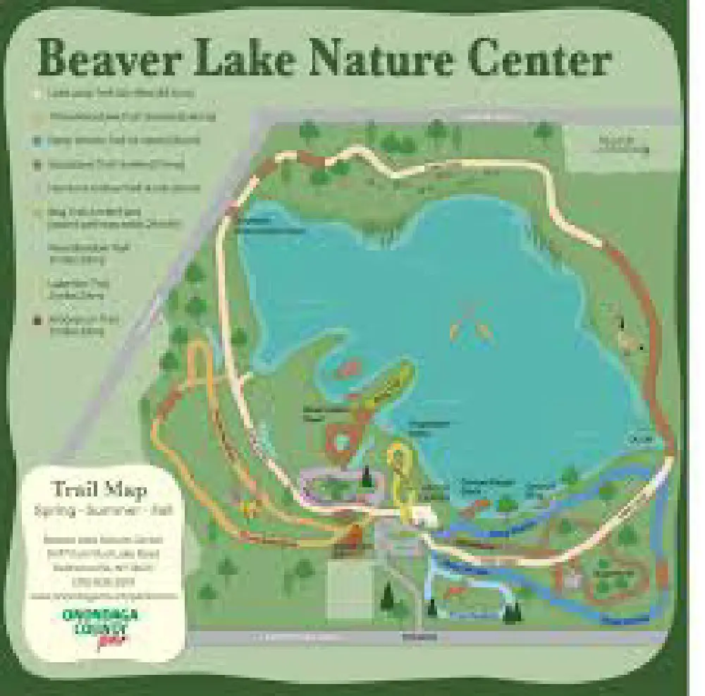 Travel Beaver Lake Map 